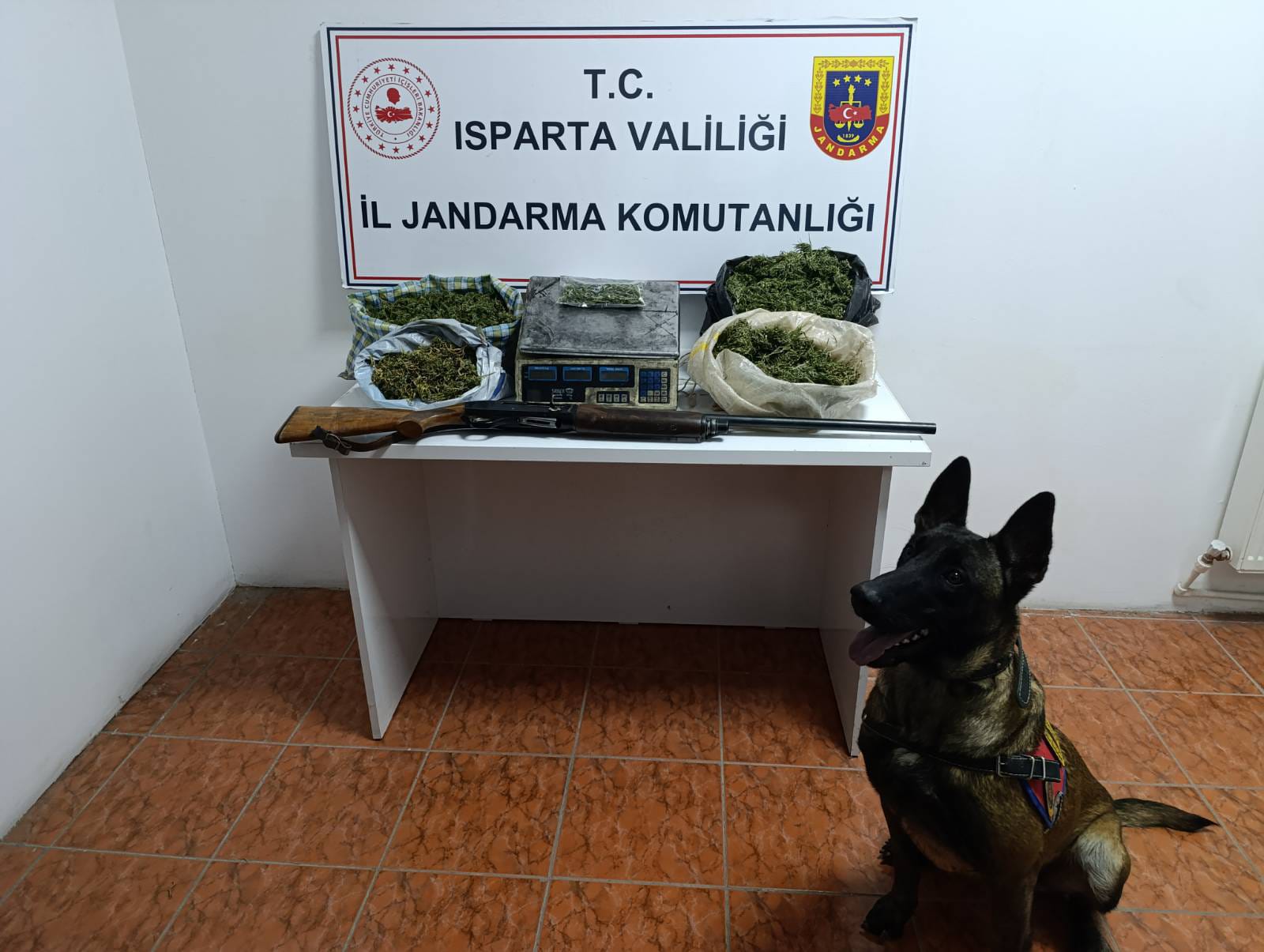 Isparta’da Jandarmadan Uyuşturucu Operasyonu