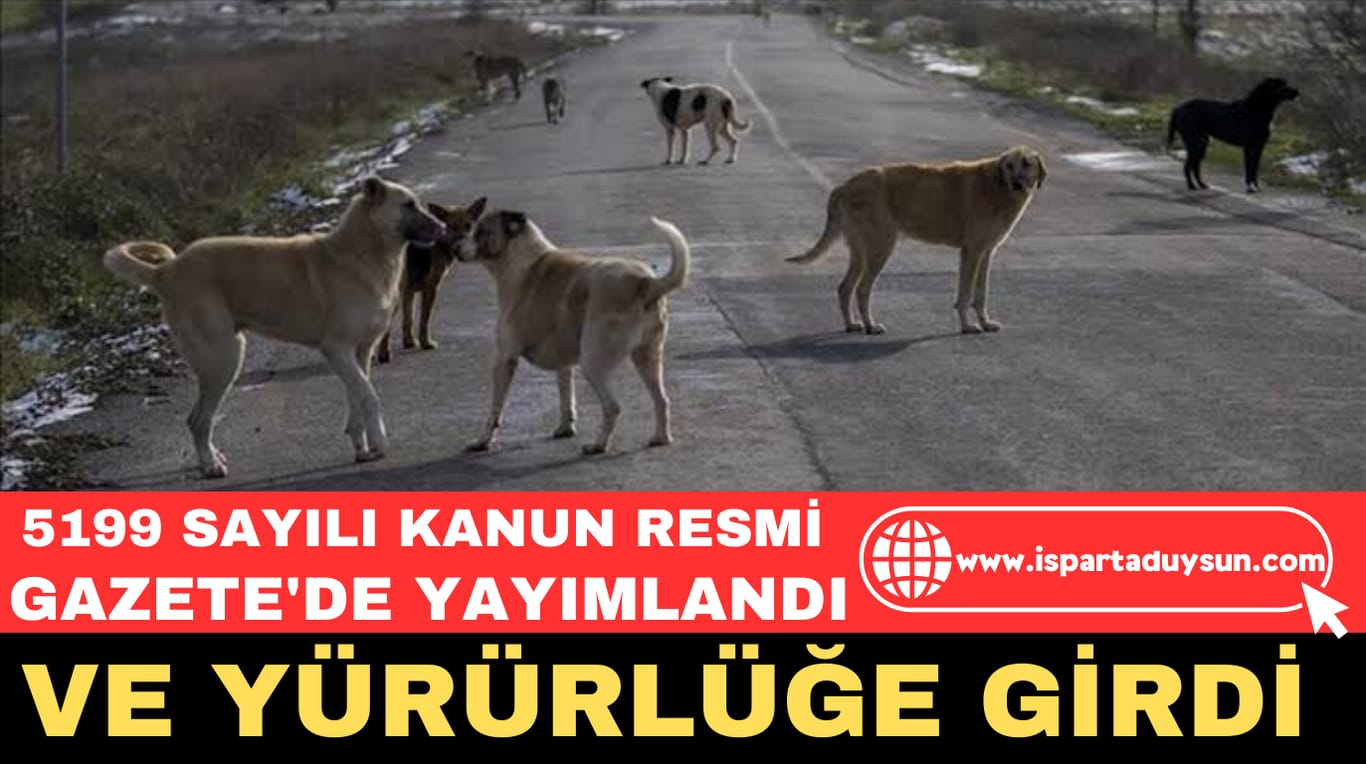 5199 SAYILI YASANIN UYGULAMA YÖNETMELİĞİ YAYIMLANDI