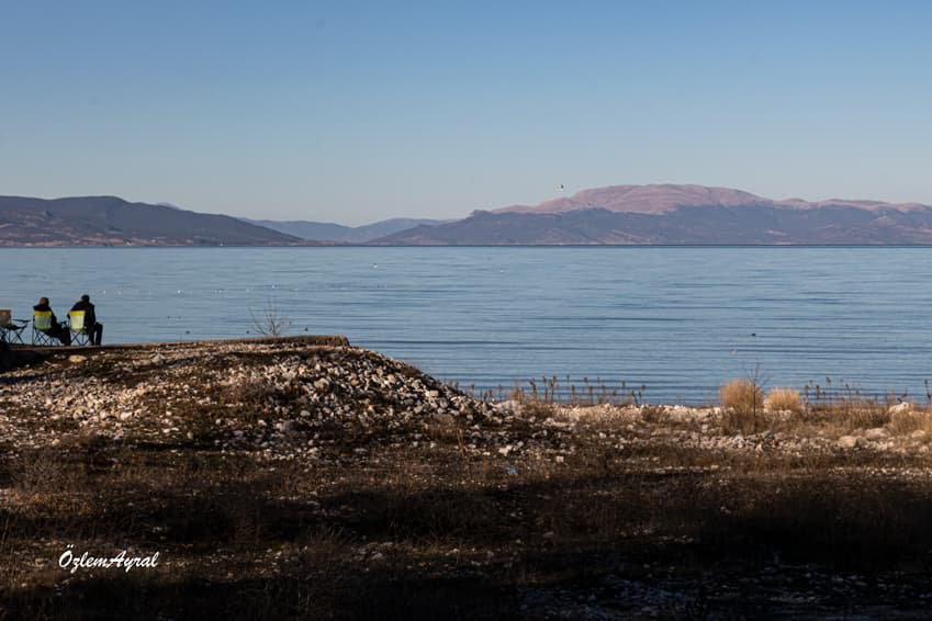 0f15d90f e30d 45dd 825b 21965b1e75ae