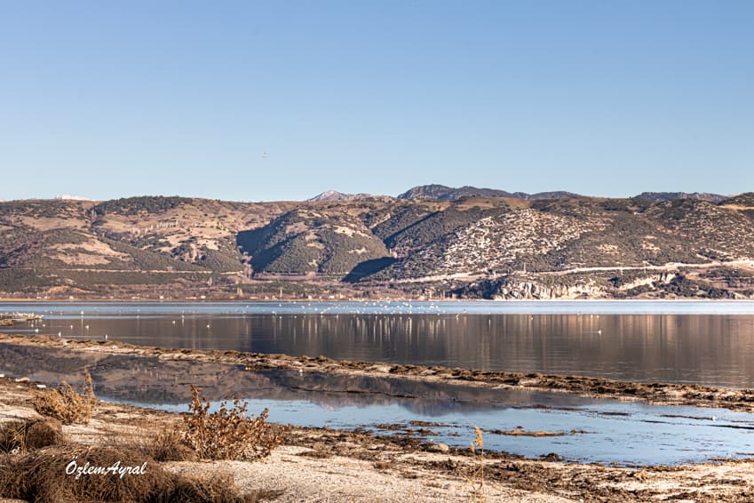 28c5f35a 20f5 43fe 8758 7350e8236ba6