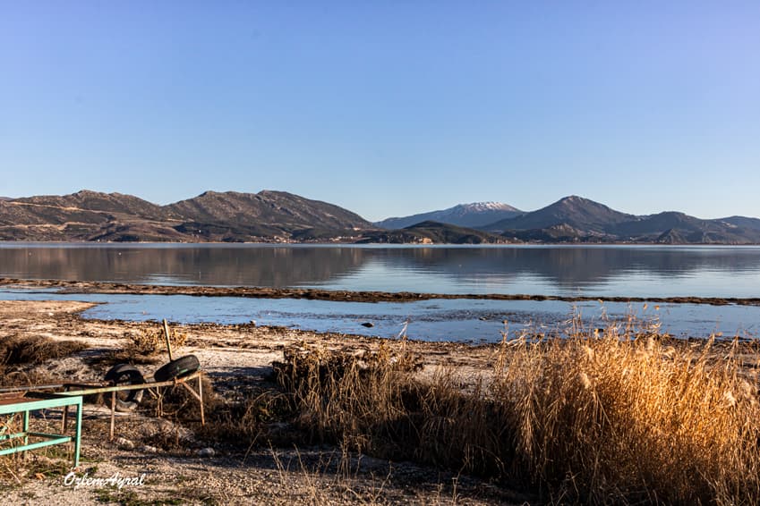 3f6d717d 4ec6 4eec a405 a0c1a990b908