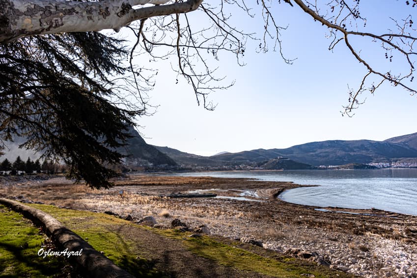 49170468 8c69 4006 84db 29660e51fbbd