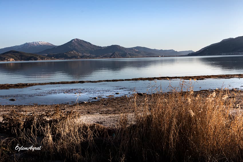 6107f501 fc20 4af9 ba1b 979d5cd79dbc