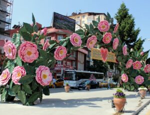 Isparta Kaçınca Sırada? Türkiye’nin En Zengin İlleri Açıklandı!