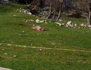 Antalya’da 3 Köpeğin Saldırısına Uğrayıp Hayatını Kaybeden Havva Özen Davasında Karar Çıktı