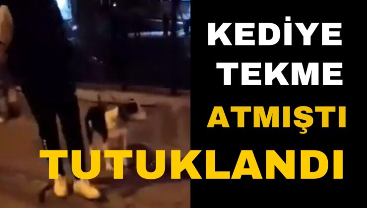 Isparta’da Kediyi Tekmeleyen Şahıs Tutuklandı