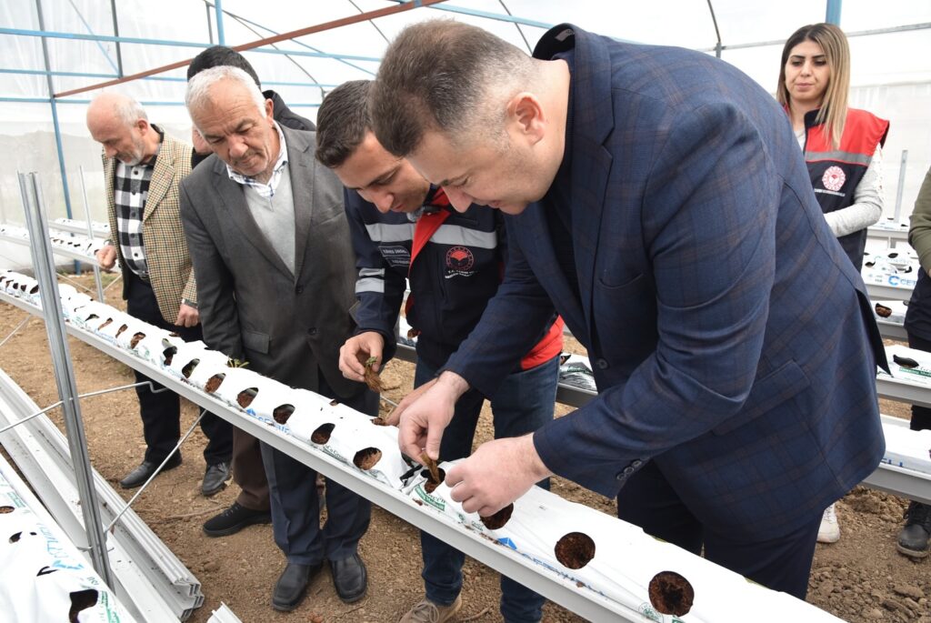 Isparta'da Topraksız Çilek Üretimi Başladı 6 8
