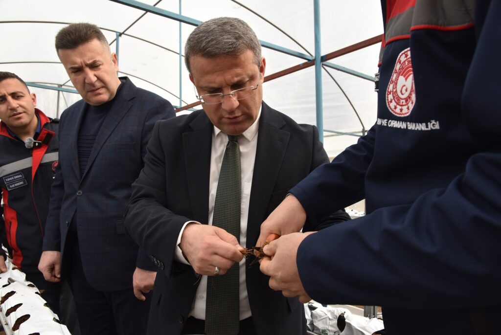 Isparta'da Topraksız Çilek Üretimi Başladı 7 7