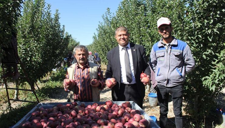 Isparta Ziraat Odası Başkanı Selçuk: Tarımsal Girdi Fiyatlarındaki Artış Gıda Fiyatlarına Yansıyor