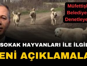 Bakan Ali Yerlikaya’dan Sahipsiz BaşıBoş Sokak Köpekleriyle ilgili Yeni Açıklama