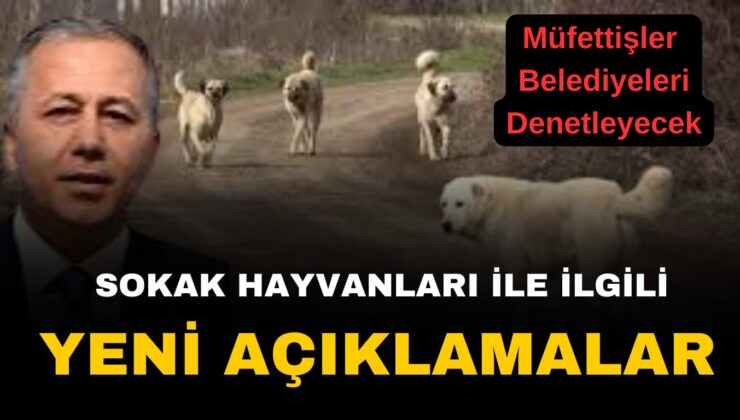 Bakan Ali Yerlikaya’dan Sahipsiz BaşıBoş Sokak Köpekleriyle ilgili Yeni Açıklama