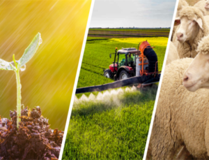 Isparta’da Çiftçiler Mazot ve Gübre Desteği Ödemelerini Bekliyor