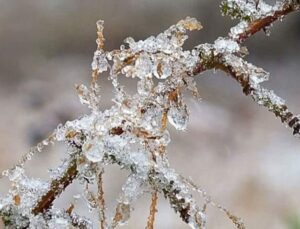 Isparta’da Zirai Don Tehlikesine Dikkat!