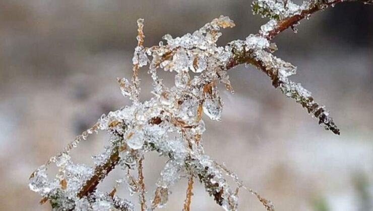 Isparta’da Zirai Don Tehlikesine Dikkat!