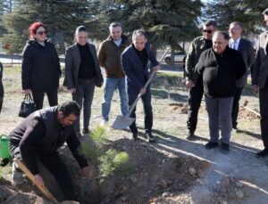 Süleyman Demirel Üniversitesi, Kadınlar Günü’nde Fidan Dikerek Anlamlı Bir Etkinlik Gerçekleştirdi