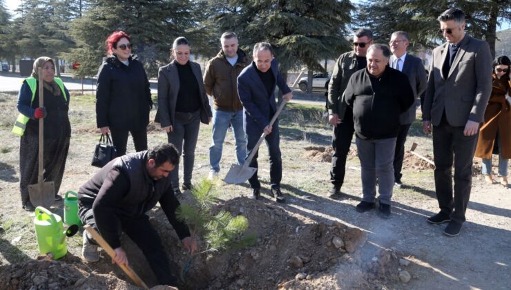 Süleyman Demirel Üniversitesi, Kadınlar Günü’nde Fidan Dikerek Anlamlı Bir Etkinlik Gerçekleştirdi