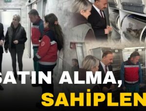 Isparta’da Sokak Hayvanlarına Özenli Bakım ve Rehabilitasyon: Yeni Merkez Örnek Teşkil Ediyor