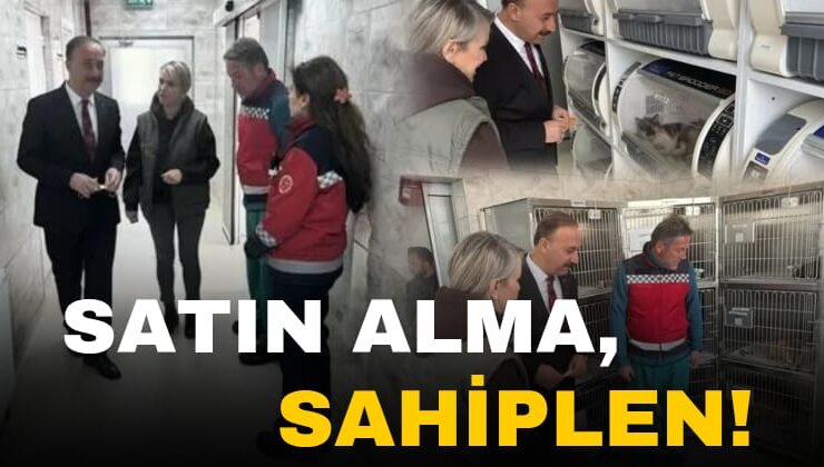 Isparta’da Sokak Hayvanlarına Özenli Bakım ve Rehabilitasyon: Yeni Merkez Örnek Teşkil Ediyor