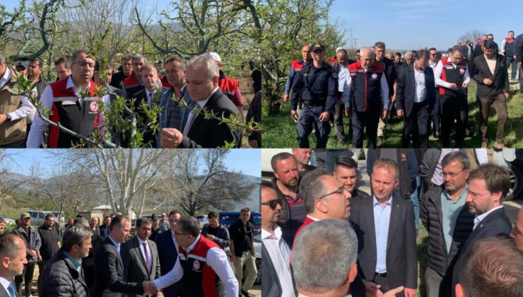 Tarım ve Orman Bakan Yardımcısı Ahmet Gümen, Isparta’da Zirai Don Zararlarını Yerinde İnceledi