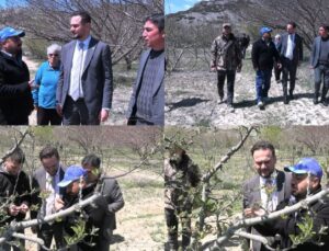 Zirai Don Isparta Tarımını Vurdu: İYİ Parti İl Başkanı Tekeli Üreticilerin Yanında