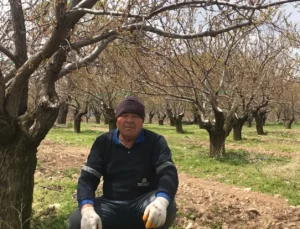 Sabah’a Kadar Nöbet Tutsalarda Yalvaç’ta Kayısı Ağaçlarını Don Vurdu