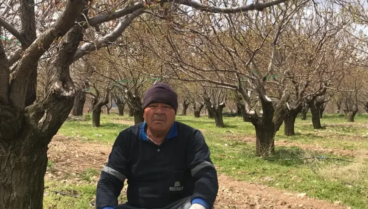 Sabah’a Kadar Nöbet Tutsalarda Yalvaç’ta Kayısı Ağaçlarını Don Vurdu