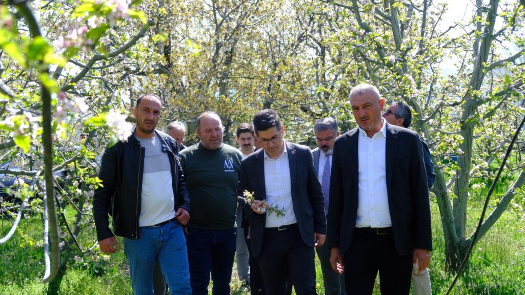 CHP'li Halıcı'dan Gelendost'taki Don Felaketi Sonrası İnceleme ve Destek Ziyareti h3