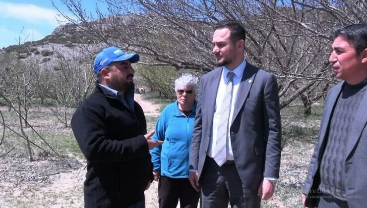 Zirai Don Isparta Tarımını Vurdu: İYİ Parti İl Başkanı Tekeli Üreticilerin Yanında t1