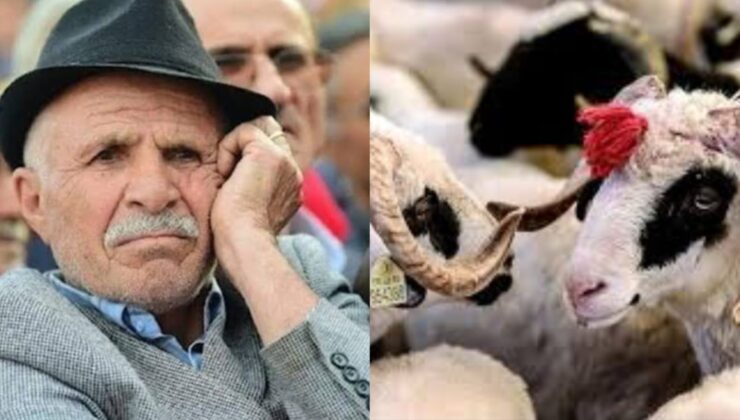 Kurban Bayramı Emekli İkramiyeleri Ne Zaman Verilecek ?