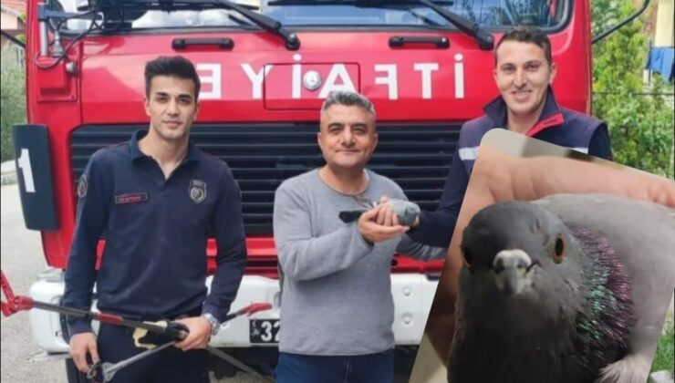Isparta’da Havalandırma Boşluğuna Sıkışan Güvercin 4 Gün Sonra Kurtarıldı