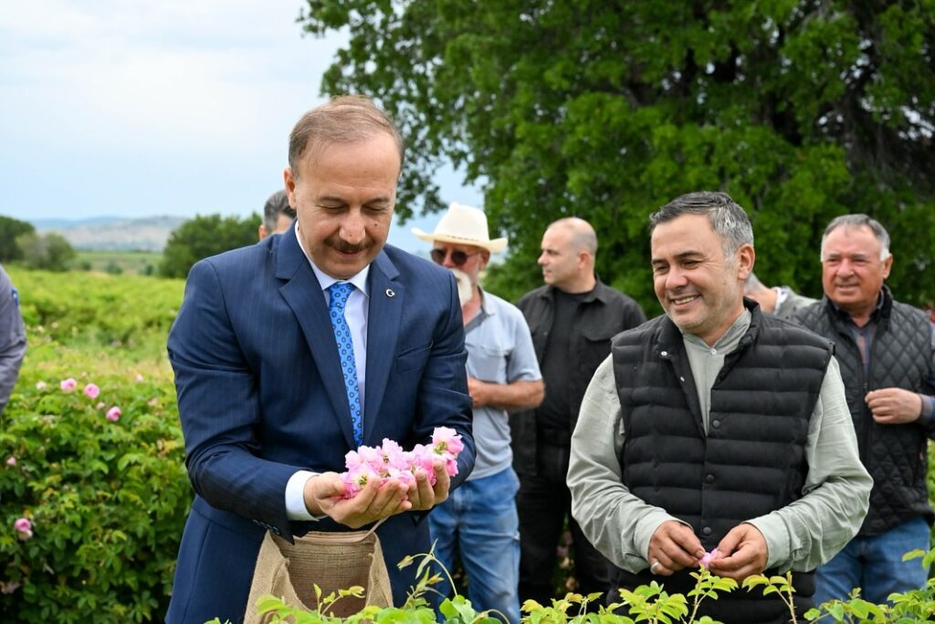 Isparta Ardıçlı Köyü’nde Gül Sezonu Açıldı: Coşkulu Başlangıç Ardıçlı