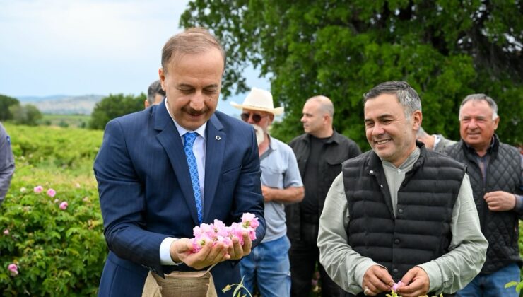 Isparta Ardıçlı Köyü’nde Gül Sezonu Açıldı: Coşkulu Başlangıç