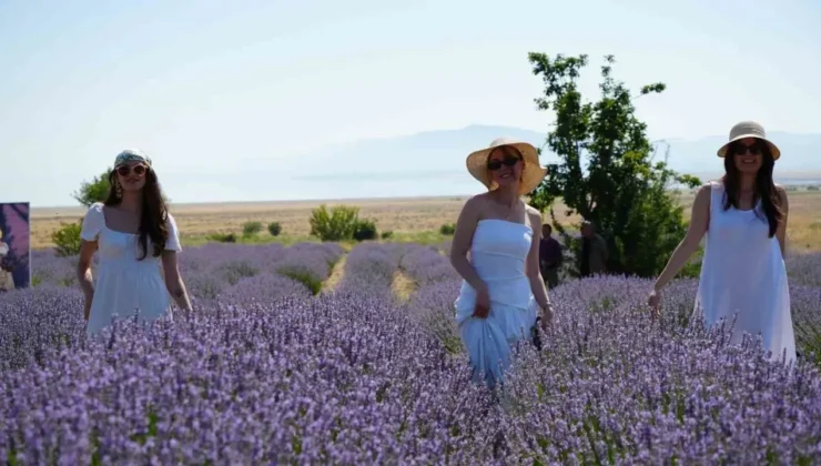 Burdur’da “Lavanta Hasat ve Sanat Günleri” Başladı: Mor Tarlalarda Festival Coşkusu