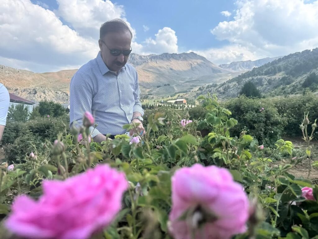 Davraz’da Rakım Farkı Gül Sezonunu Uzattı Vali Abdullah Erin'in Eşliğinde Gül Hasadı Başladı SaveClip.App 502434057 18481550746070620 6056400038553723578 n