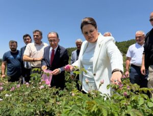 Eski Bakan Derya Yanık, SDÜ Mezuniyet Töreni İçin Isparta’da: Gül Bahçelerini Ziyaret Etti