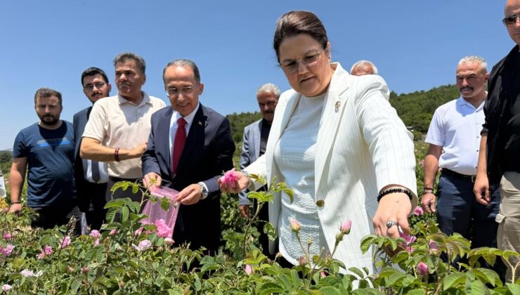 Eski Bakan Derya Yanık, SDÜ Mezuniyet Töreni İçin Isparta’da: Gül Bahçelerini Ziyaret Etti