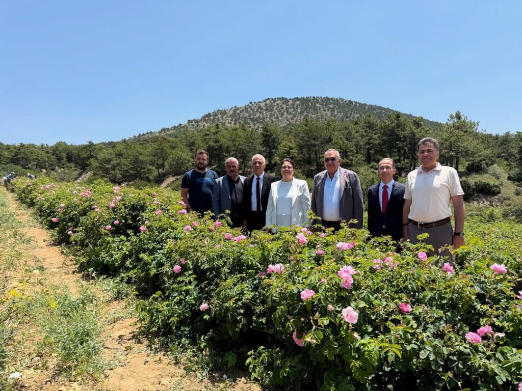 Eski Bakan Derya Yanık, SDÜ Mezuniyet Töreni İçin Isparta’da: Gül Bahçelerini Ziyaret Etti SaveClip.App 508347681 18414649699100011 5497932810681721228 n