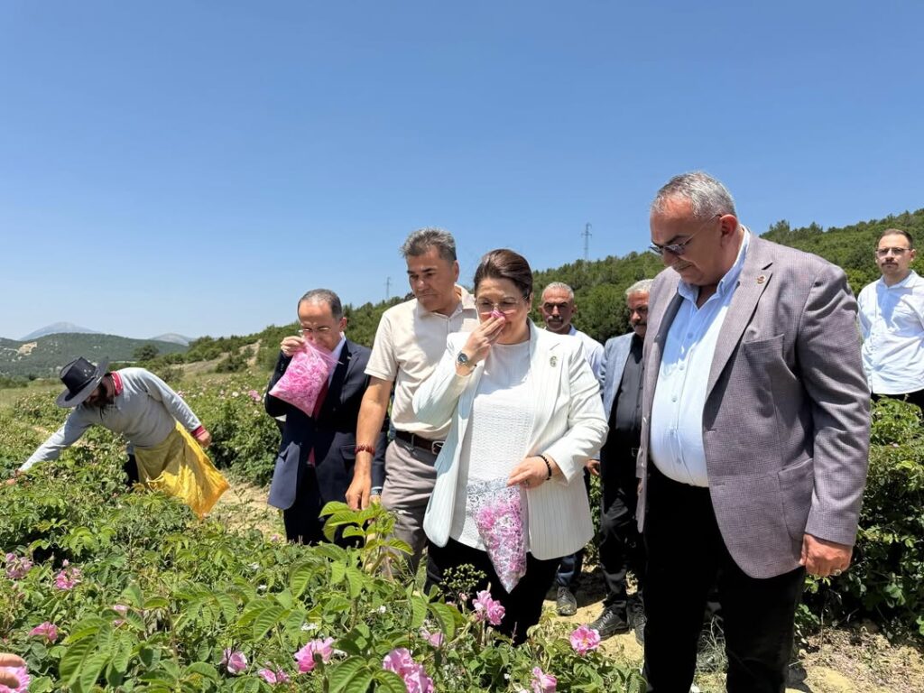 Eski Bakan Derya Yanık, SDÜ Mezuniyet Töreni İçin Isparta’da: Gül Bahçelerini Ziyaret Etti SaveClip.App 508397125 18414649660100011 5658823197515416674 n