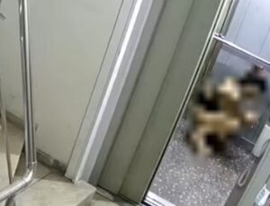 Hep Başka Yerlerde Duyardık, Bu Kez o Olay Isparta’da Yaşandı Asansöre Tuvaletini Yaptı