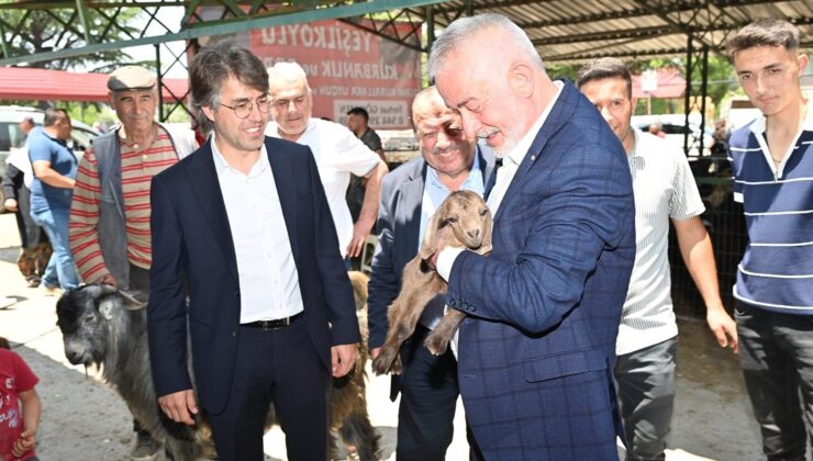 Isparta Belediye Başkanı Şükrü Başdeğirmen Canlı Hayvan Pazarı’nı Ziyaret Etti