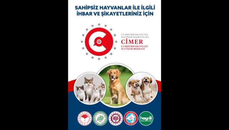 Vatandaşlar Artık Sokak Hayvanları İçin CİMER’e Şikayette Bulunabilecek