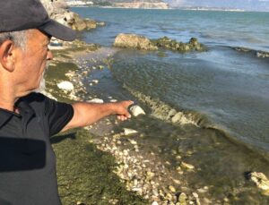 Eğirdir Gölü’ne Verilen Sözler Tutulmadı: “Su Artık Beka Sorunu”