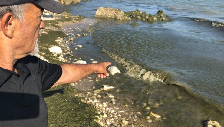 Eğirdir Gölü’ne Verilen Sözler Tutulmadı: “Su Artık Beka Sorunu”