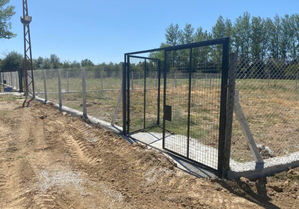 Yalvaç’ta Sokak Hayvanları İçin Modern Barınak Hizmete Girdi Hayvan 2