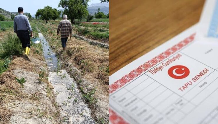 2 Yıl Ekilmeyen Tarım Arazileri Devlet Tarafından Kiraya Verilecek: Yeni Sistem 1 Eylül’de Başlıyor