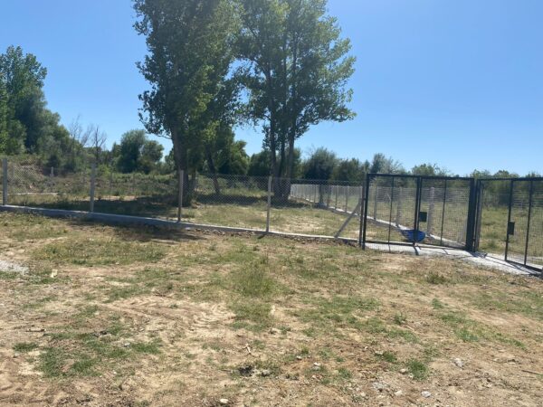 Yalvaç’ta Sokak Hayvanları İçin Modern Barınak Hizmete Girdi hayvan 3