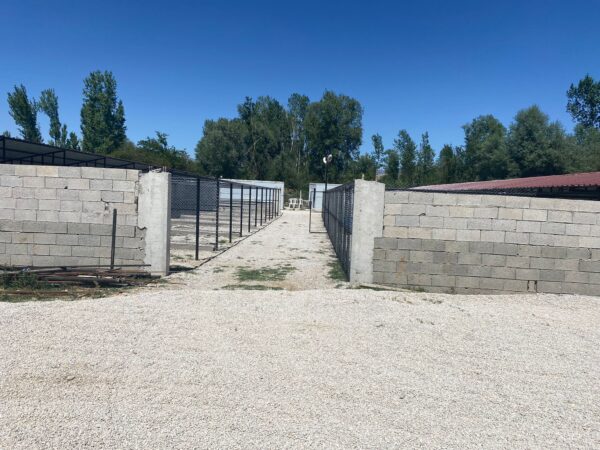 Yalvaç’ta Sokak Hayvanları İçin Modern Barınak Hizmete Girdi hayvan 4