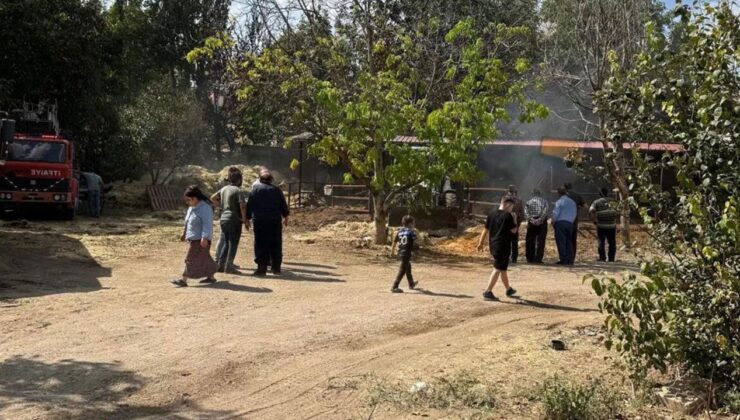 Atabey’de Besihanede Yangın: 2 Büyükbaş Hayvan Telef Oldu
