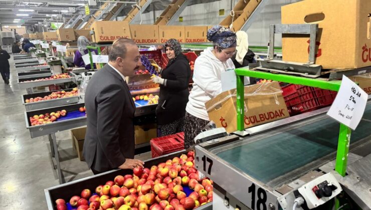 Vali Erin: Elma Üretiminde Kadınların Rolü Takdire Şayan