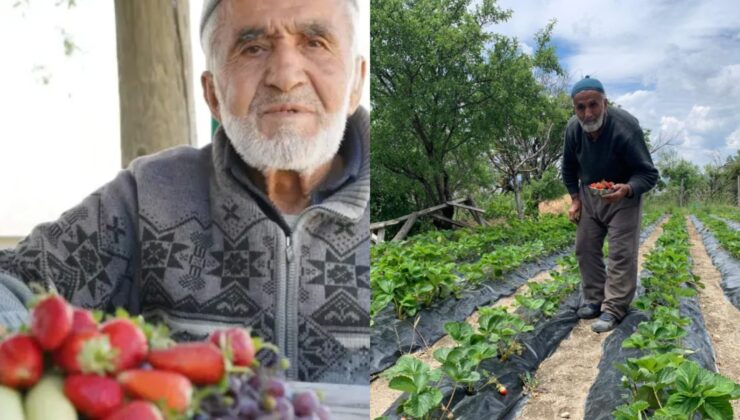 Isparta’nın İyilik Çınarı İbrahim Çakmakçı Bahçesinde Ölü Bulundu